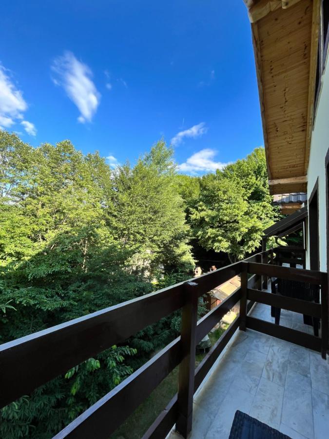 Cabana Din Padure Porumbacu de Sus Exterior foto